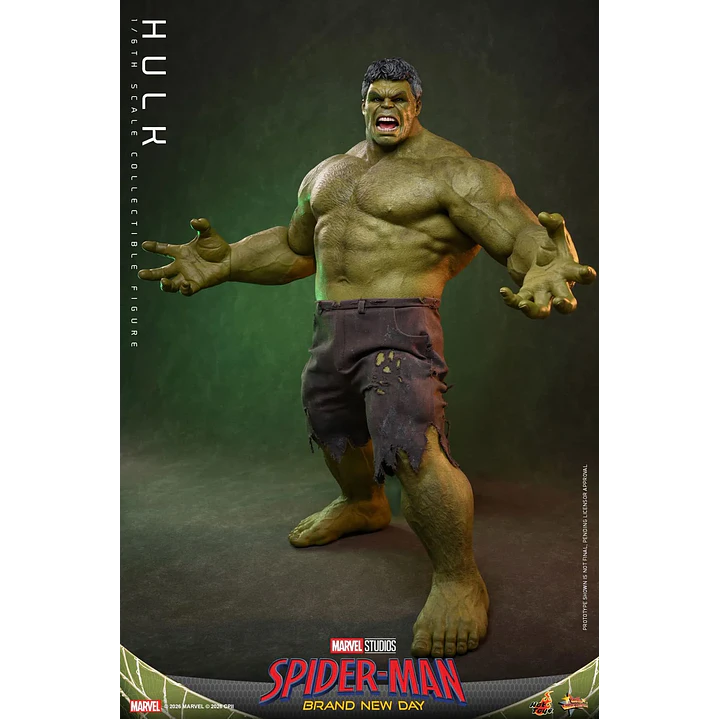 (Pre-Venta) Hulk Hot Toys - Spider-Man Brand New Day 5