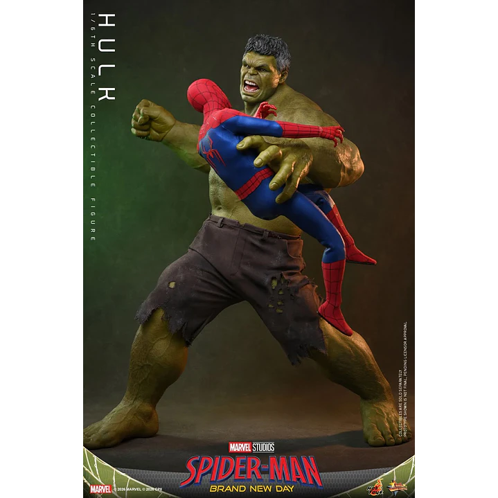 (Pre-Venta) Hulk Hot Toys - Spider-Man Brand New Day 6