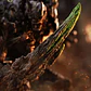 (Pre-Venta) The Devastator INART - Dark Nights Metal - Miniatura 8