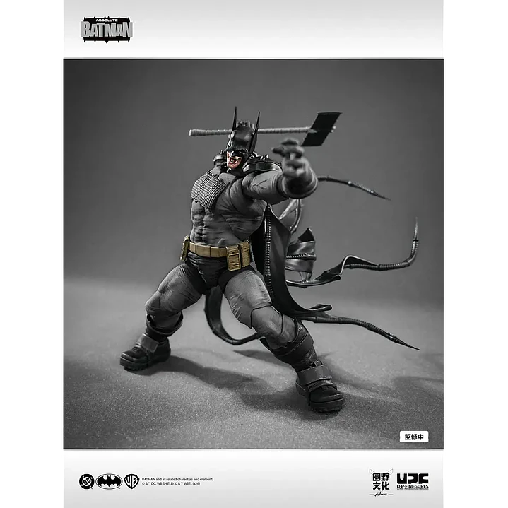 (Pre-Venta) Absolute batman LPZZ/UPF - DC Comics 6