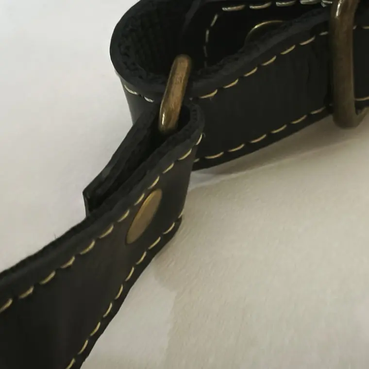 Banano Negro Eclipse 4