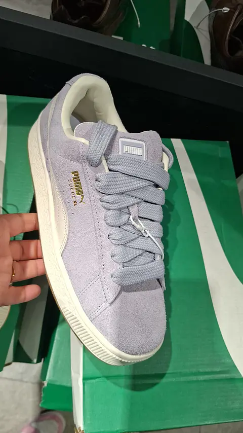 Proveedor de zapatillas originales y alternativas, ropa, accesorios y bolsos 