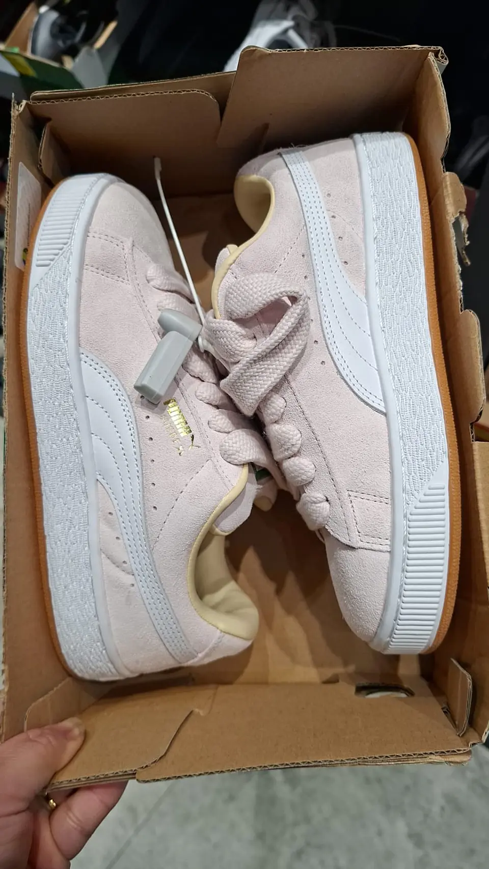 Proveedor de zapatillas originales y alternativas, ropa, accesorios y bolsos  9