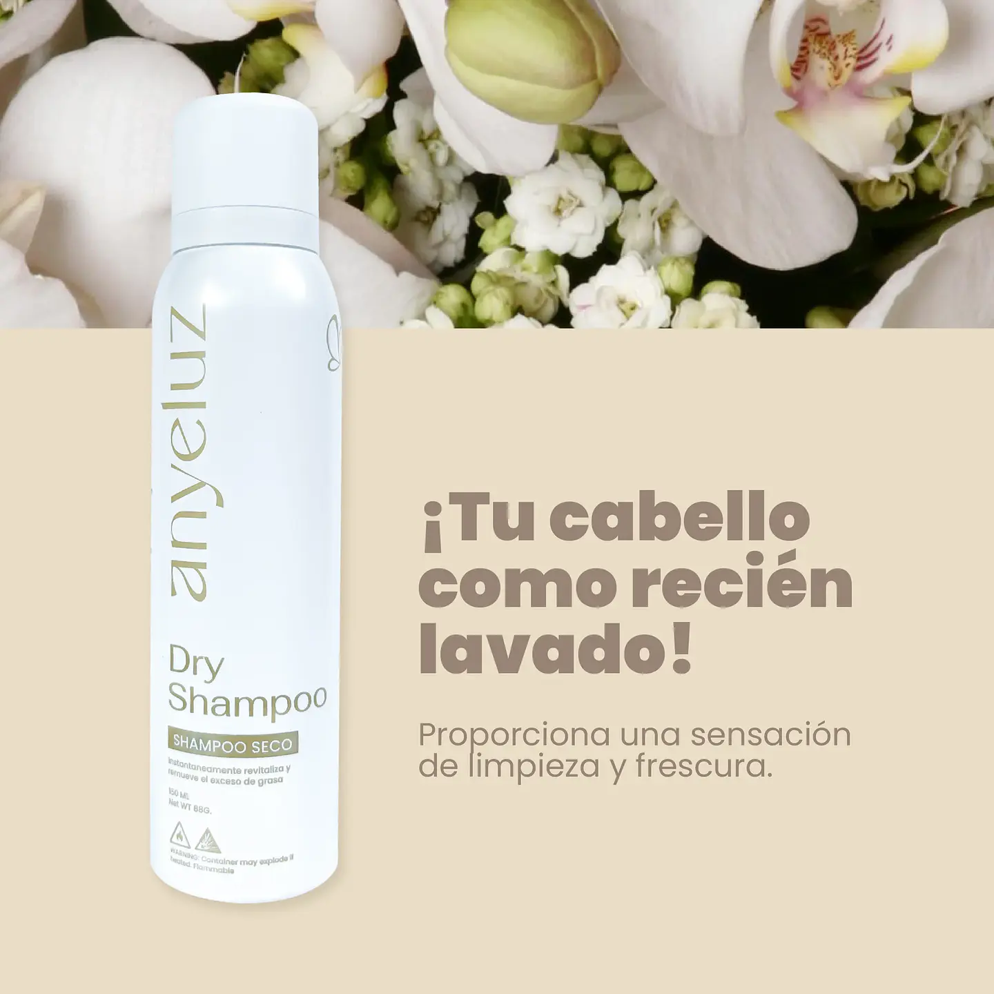 Shampoo Seco ANYELUZ 150ml 2
