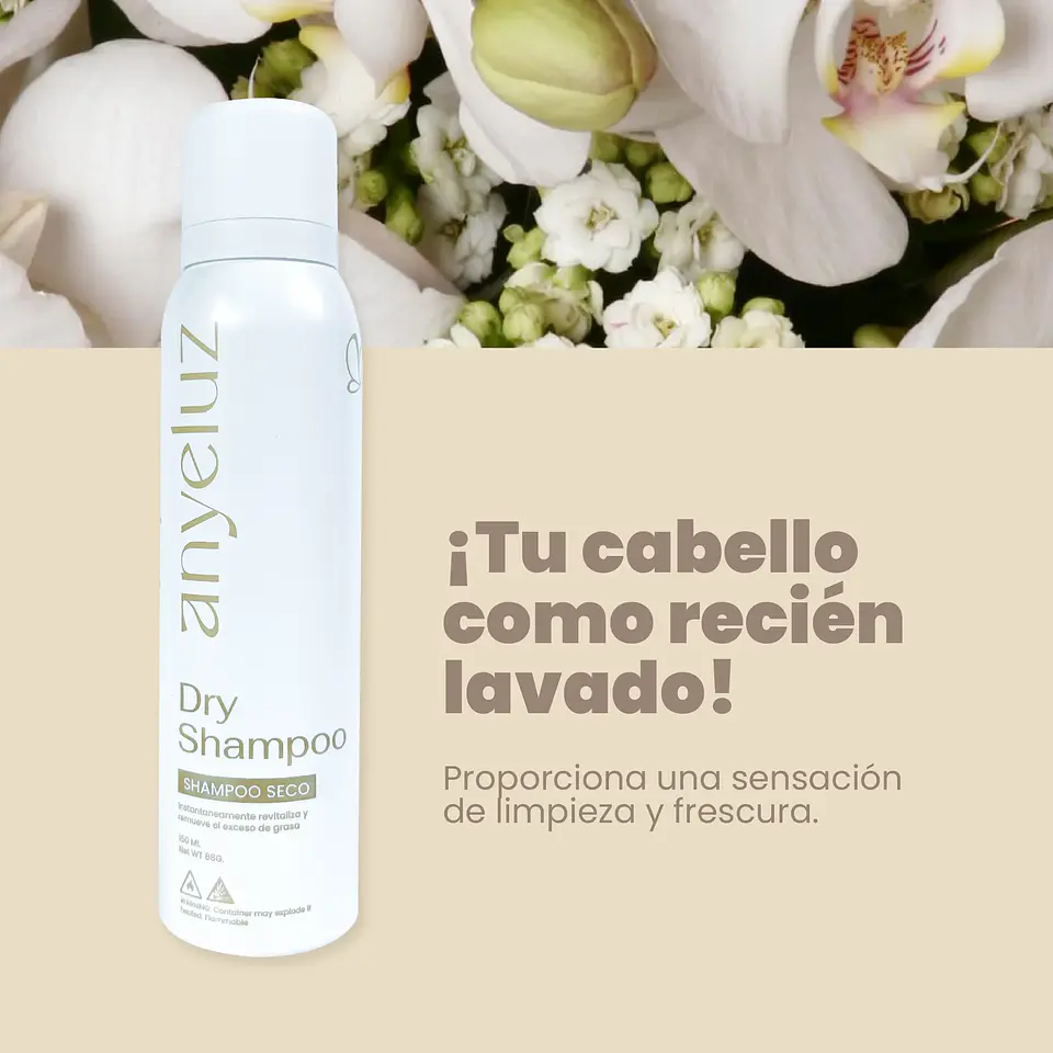 Shampoo Seco ANYELUZ 150ml 2