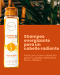 Champú con Ginseng ANYELUZ 500ml