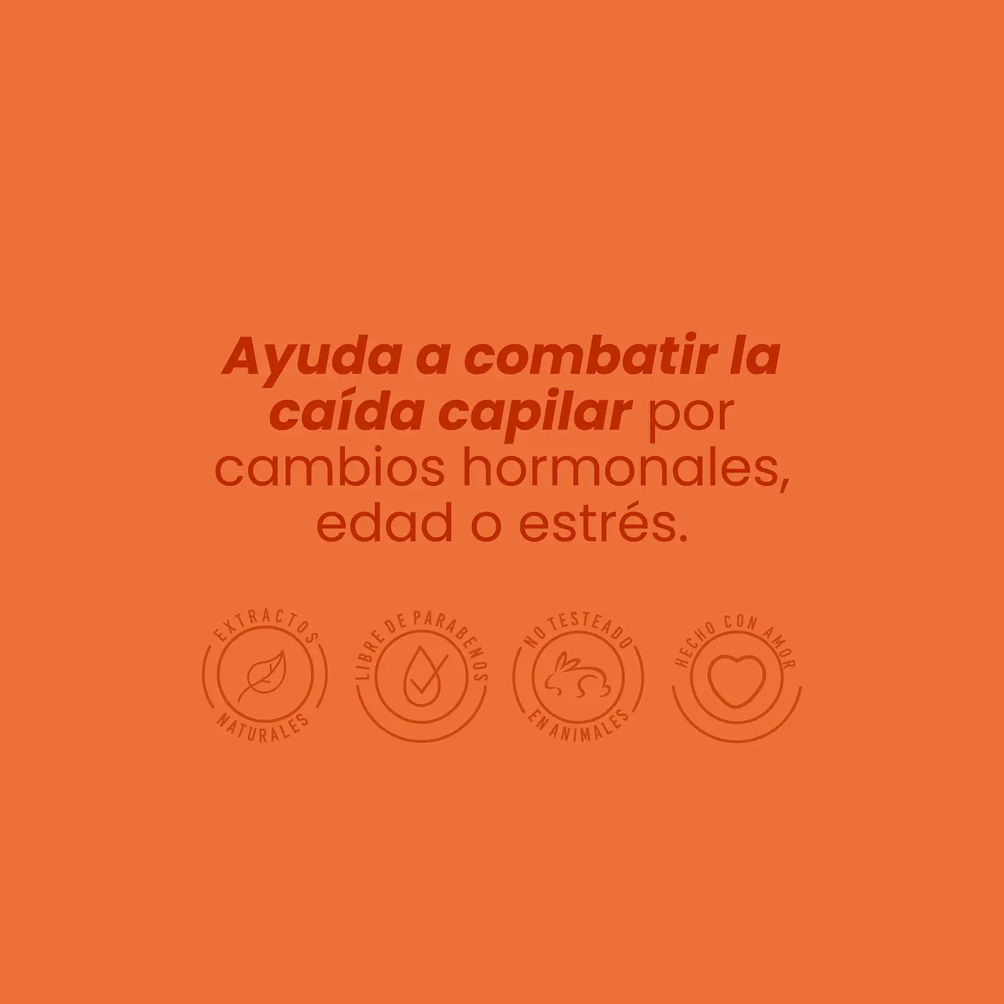 Shampoo con Ginseng ANYELUZ 500ml 3