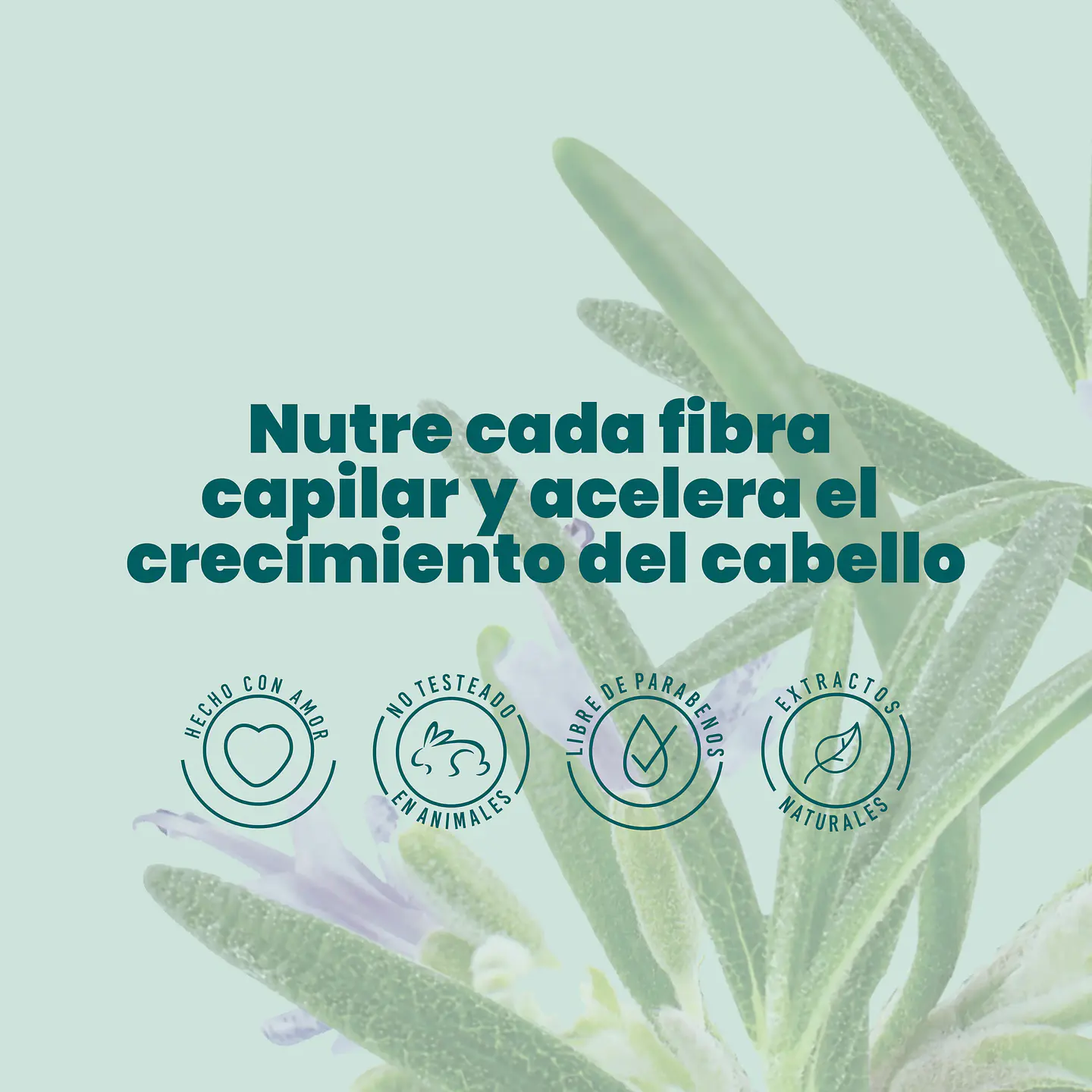 Acondicionador con Romero ANYELUZ 500ml 4