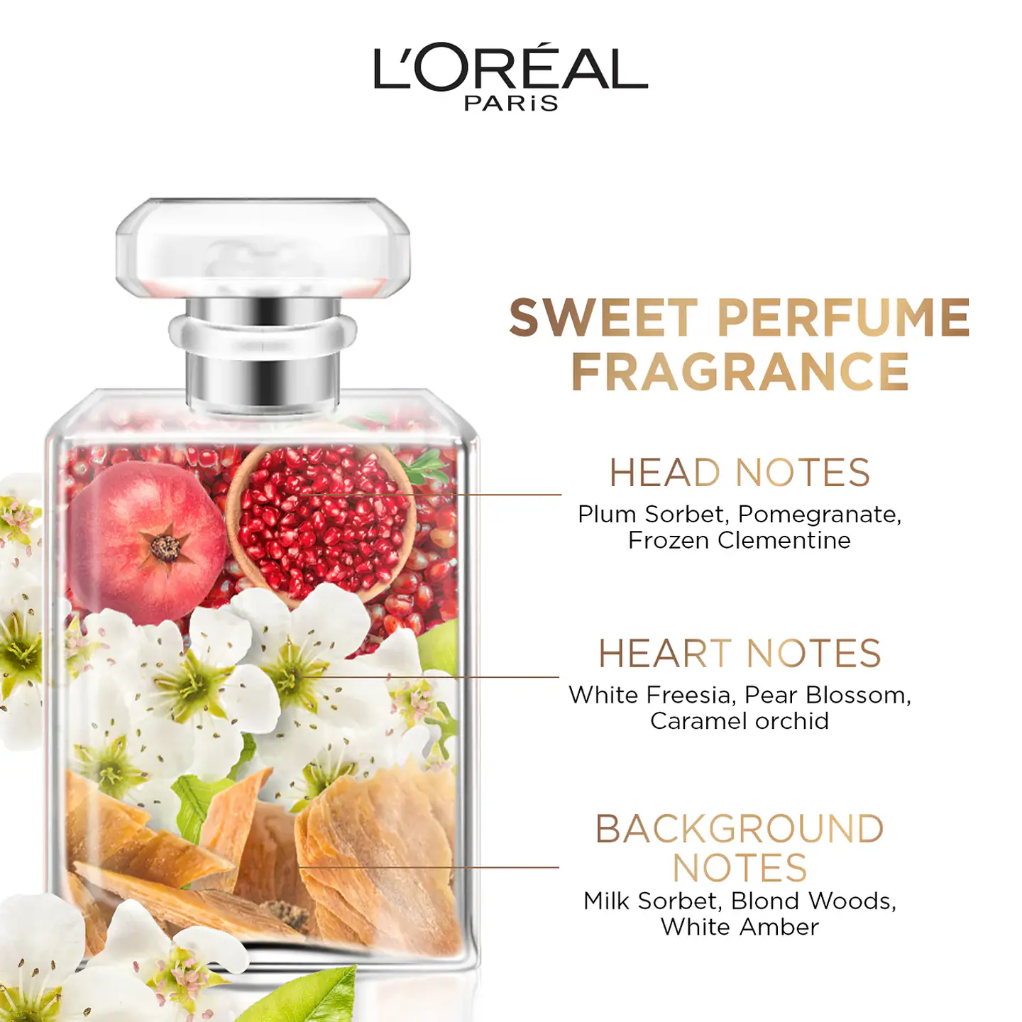 Champú Reconstructor L'ORÉAL Elvive Dream Long 400ml 3