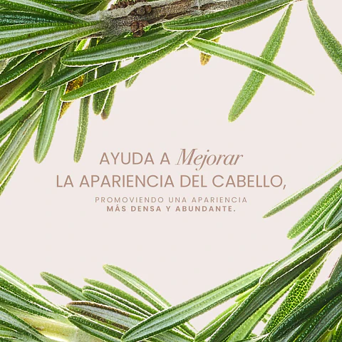 Potencializador de Romero ANYELUZ 110ml