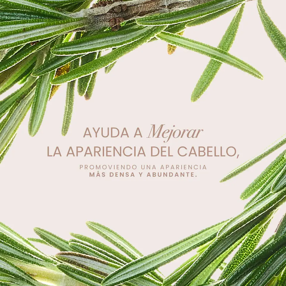 Potencializador de Romero ANYELUZ 110ml 2