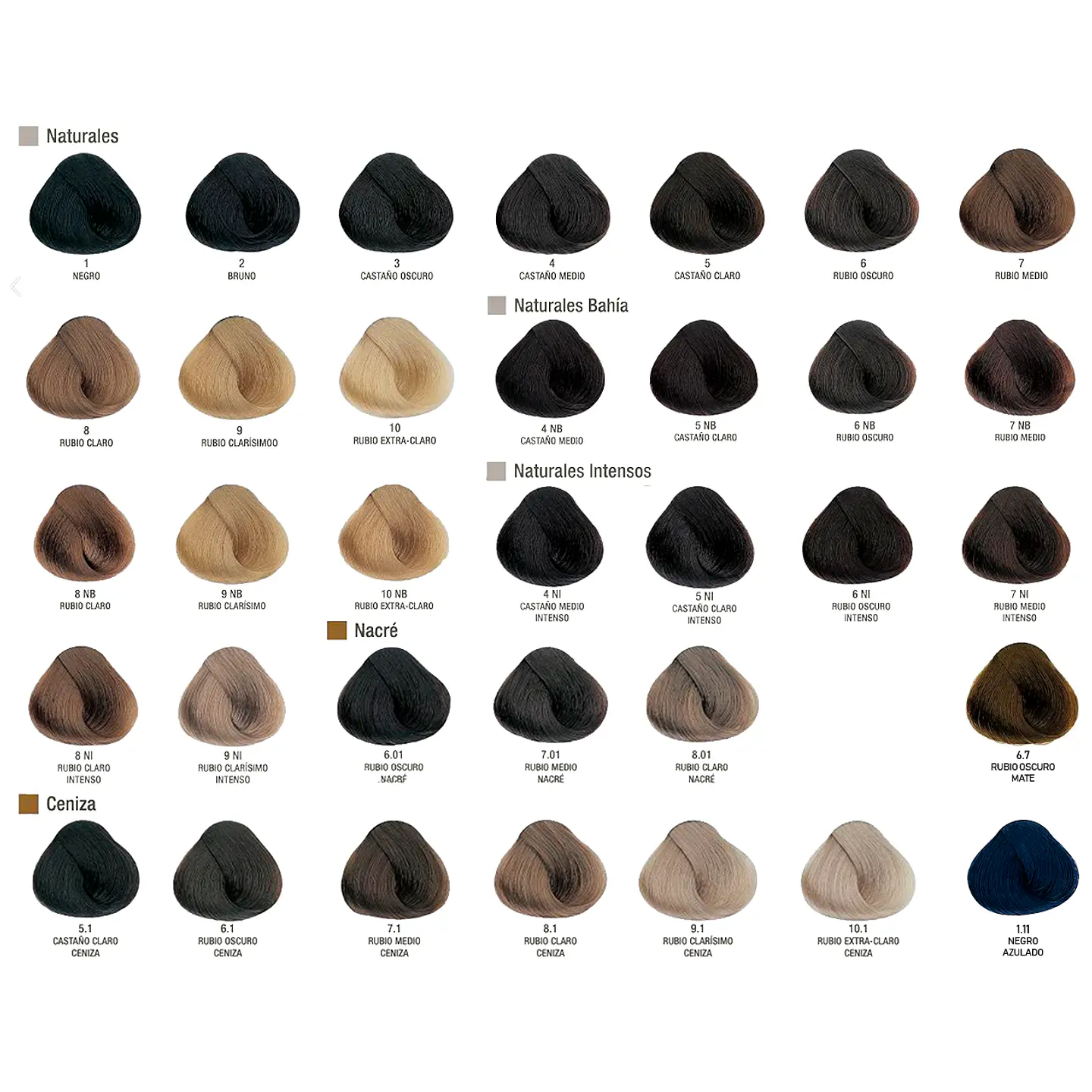 Evolution Permanent Dye ALFAPARF 60ml 3