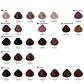 Evolution Permanent Dye ALFAPARF 60ml - thumbnail 4
