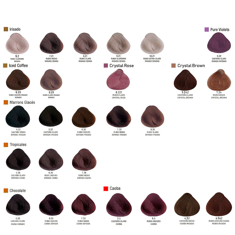 Evolution Permanent Dye ALFAPARF 60ml 4