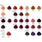 Evolution Permanent Dye ALFAPARF 60ml - thumbnail 5