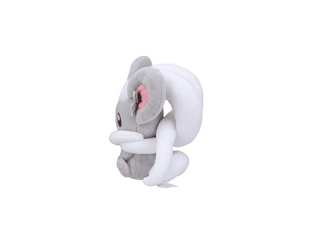 Cinccino Fit Pokémon center