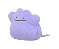 DItto Fit Pokémon center