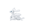 Reshiram Fit Pokémon center