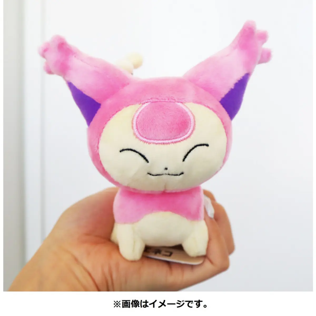 Skitty Fit Pokémon center
