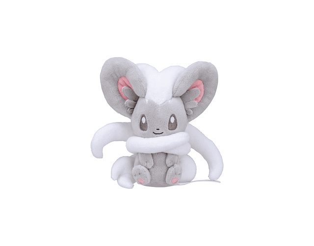 Cinccino Fit Pokémon center