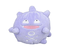 Koffing Fit Pokémon center
