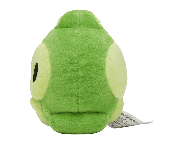 Duosion Fit Pokémon center