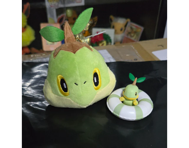 set turtwig