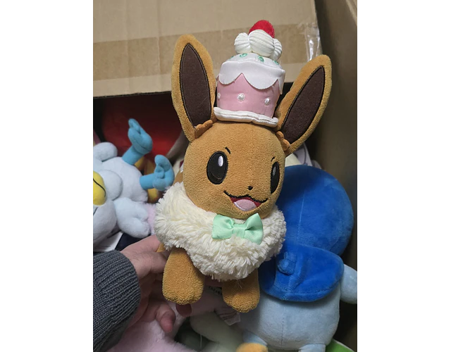 Eevee Pastel Pokémon center 