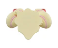 Figura Pokémon Moncolle Alcremie