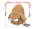 Piloswine Fit Pokémon center
