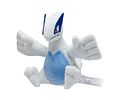 Lugia Fit Pokémon center