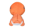 Trapinch Fit Pokémon center