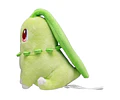 Chikorita Fit Pokémon center