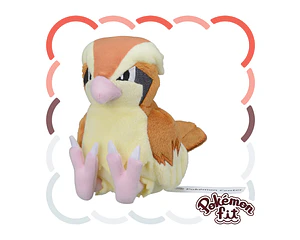 Pidgey Fit Pokémon center