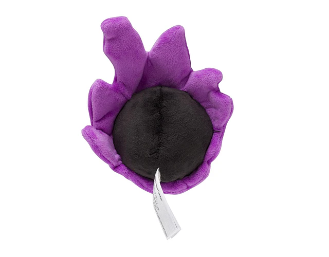 Gastly Fit Pokémon center