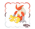 Pokémon Fit – Blaziken