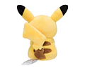 Pokémon Fit – Pikachu