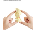 Kit Alcremie figura Plastic Model