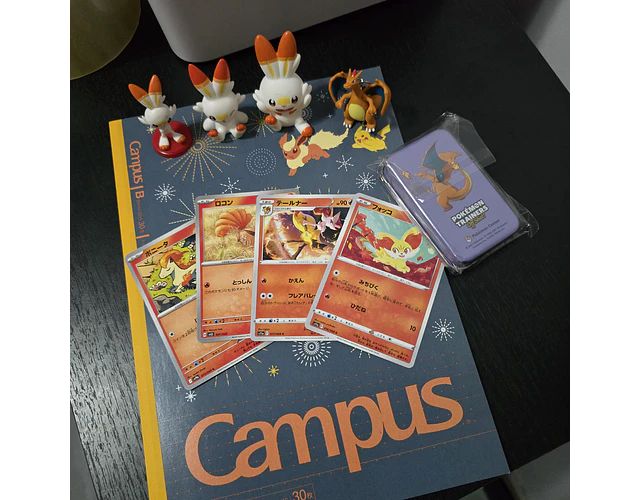 Set Pokémon - Promoción 10