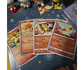 Set Pokémon - Promoción 10