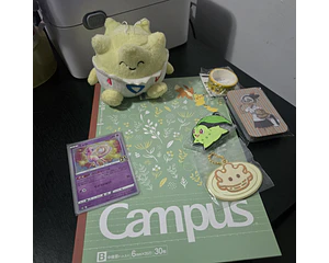 Set Pokémon - Promoción 13