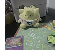 Set Pokémon - Promoción 13