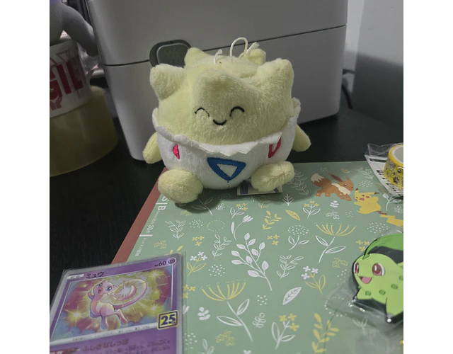 Set Pokémon - Promoción 13
