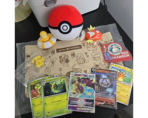 Set Pokémon - Promoción 14