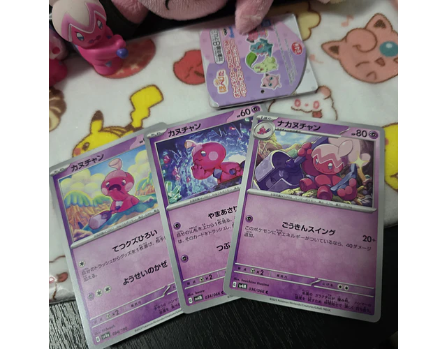 Set Pokémon - Promoción 19