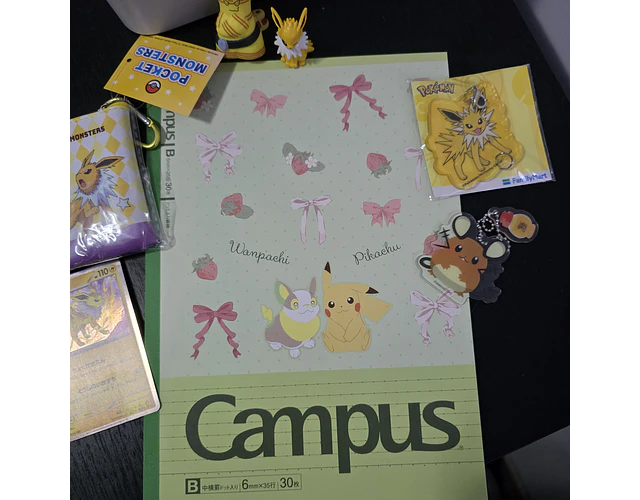 Set Pokémon - Promoción 24
