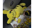 Set Pokémon - Promoción 27