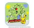 Set 5 toallitas Pokémon – Nishimatsuya
