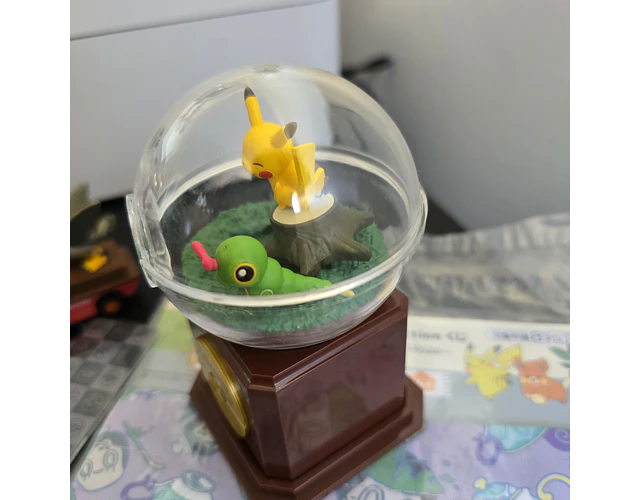 Set Pokémon - Promoción 28
