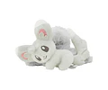 Pinche Minccino – Pokémon Accessory Pokémon Center Japón
